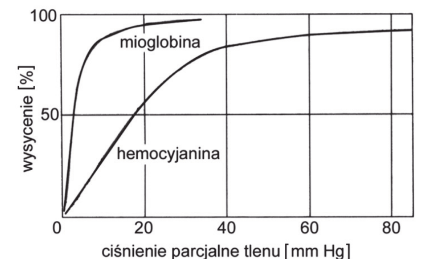 wykres, na którym oś pozioma to ciśnienie parcjalne tlenu [mm Hg
