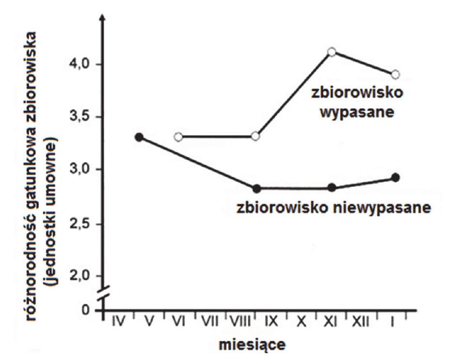wykres liniowy - oś pionowa: różnorodność gatunkowa zbiorowiska (jednostki umowne, od 2,0 do 4,0), oś pozioma: kolejne miesiące od IV do I. Górna krzywa, opisana jako zbiorowisko wypasane, przez cały okres rośnie od ok. 3,3 do ok. 4,0. Dolna krzywa, opisana jako zbiorowisko niewypasane, spada z ok. 3,3 do ok. 2,3, a następnie utrzymuje się na poziomie ok. 2,5-3,0. Przez cały czas różnorodność zbiorowiska wypasanego jest większa niż niewypasanego