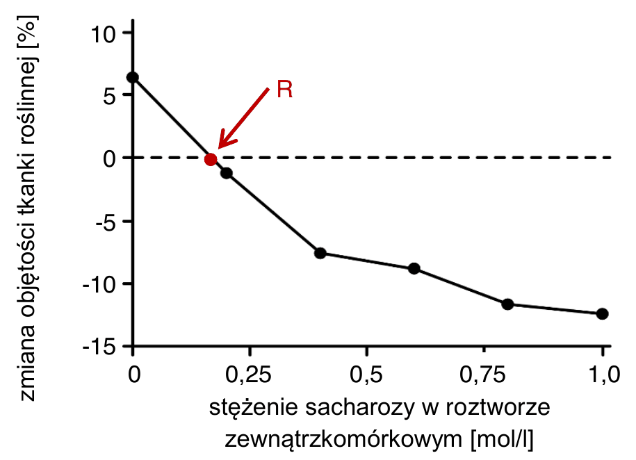 wykres liniowy; na osi X stężenie sacharozy w roztworze zewnątrzkomórkowym od 0 do 1,0 mol/l, na osi Y zmiana objętości tkanki roślinnej od -15% do +10%. Krzywa maleje: przy stężeniu 0 mol/l objętość tkanki rośnie o ok. 10%, przy ok. 0,2 mol/l krzywa przecina zero (punkt oznaczony literą R), a przy 1,0 mol/l objętość spada o ok. 13%