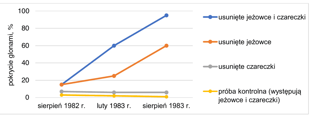 wykres liniowy pokrycia glonami (w %) w trzech terminach: sierpień 1982 r., luty 1983 r., sierpień 1983 r. Poletko z usuniętymi jeżowcami i czareczkami: około 15%, 60%, 95%. Poletko z usuniętymi jeżowcami: około 15%, 25%, 60%. Poletko z usuniętymi czareczkami: około 5%, 6%, 6%. Próba kontrolna (występują jeżowce i czareczki): około 3% we wszystkich terminach