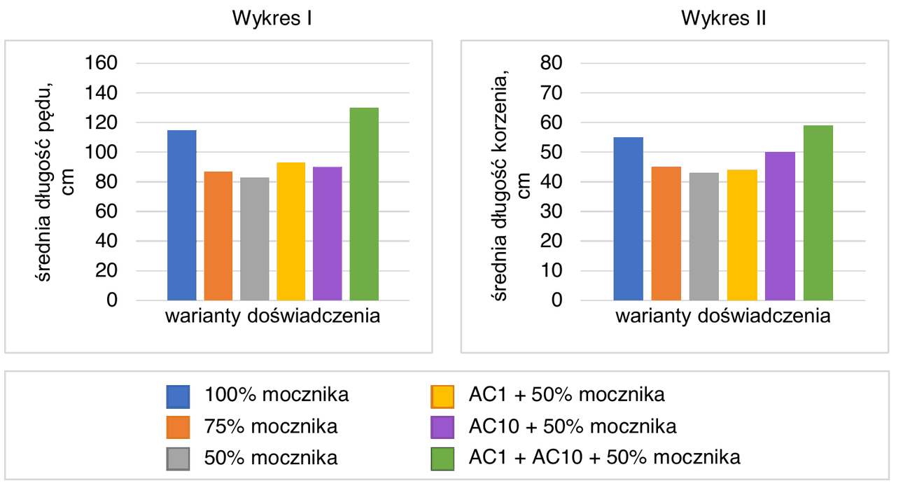 dwa wykresy słupkowe wariantów doświadczenia. Wykres I - średnia długość pędu w cm: 100% mocznika około 114, 75% mocznika około 87, 50% mocznika około 83, AC1 + 50% mocznika około 93, AC10 + 50% mocznika około 90, AC1 + AC10 + 50% mocznika około 129. Wykres II - średnia długość korzenia w cm: 100% mocznika około 54, 75% mocznika około 45, 50% mocznika około 43, AC1 + 50% mocznika około 44, AC10 + 50% mocznika około 50, AC1 + AC10 + 50% mocznika około 58