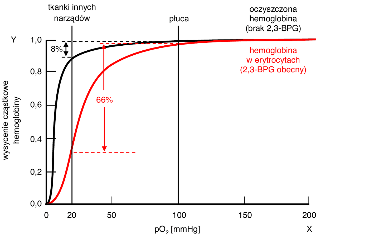 wykres dwóch krzywych wiązania tlenu. Oś X (pO2 [mmHg