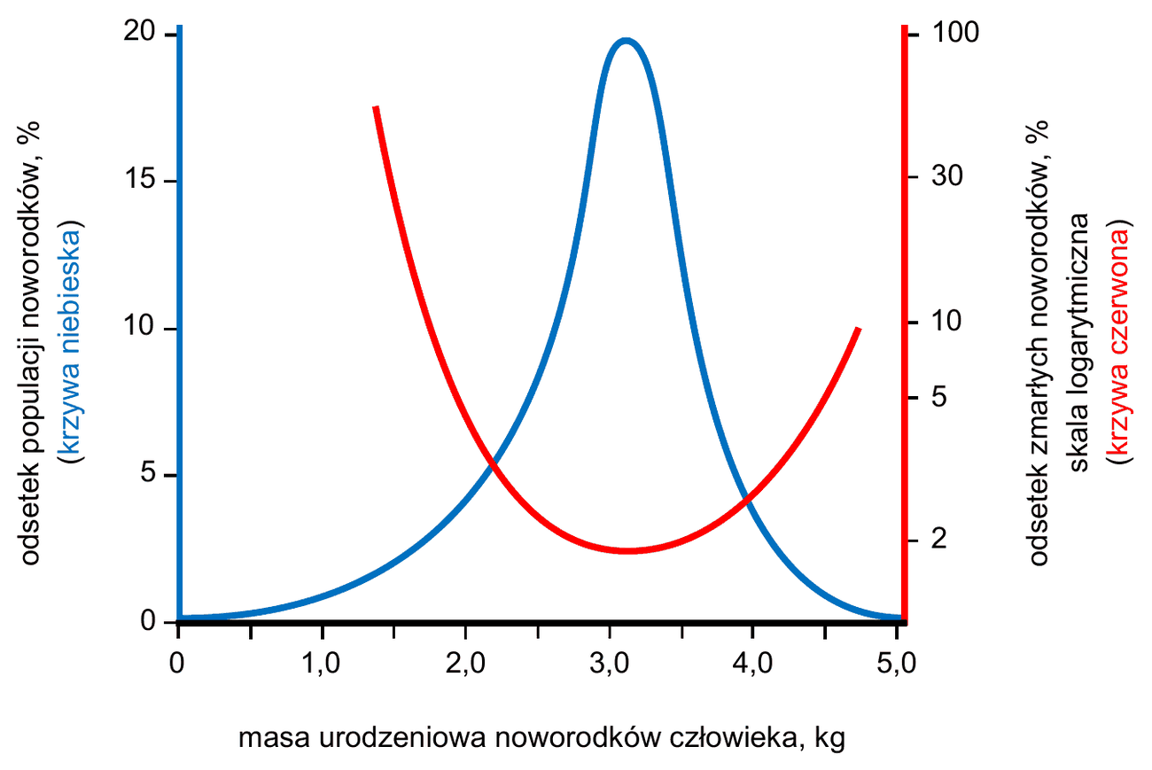wykres z dwiema krzywymi. Oś X: masa urodzeniowa noworodków człowieka, kg (od 0 do 5,0). Lewa oś Y: odsetek populacji noworodków, % (od 0 do 20) - odpowiada jej niebieska krzywa o kształcie dzwonowym, z maksimum przy masie około 3,4 kg. Prawa oś Y: odsetek zmarłych noworodków, % w skali logarytmicznej (2, 5, 10, 30, 100) - odpowiada jej czerwona krzywa w kształcie litery U, której minimum przypada na masę zbliżoną do maksimum krzywej niebieskiej, a wartości rosną gwałtownie dla noworodków bardzo lekkich i bardzo ciężkich