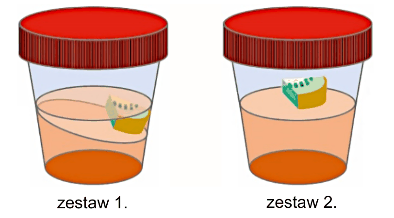 rysunek dwóch pojemników opisanych "zestaw 1." i "zestaw 2."; w zestawie 1. galaretka pod fragmentem kiwi jest częściowo upłynniona i widać uwolnioną wodę, w zestawie 2. galaretka pozostaje w postaci żelu