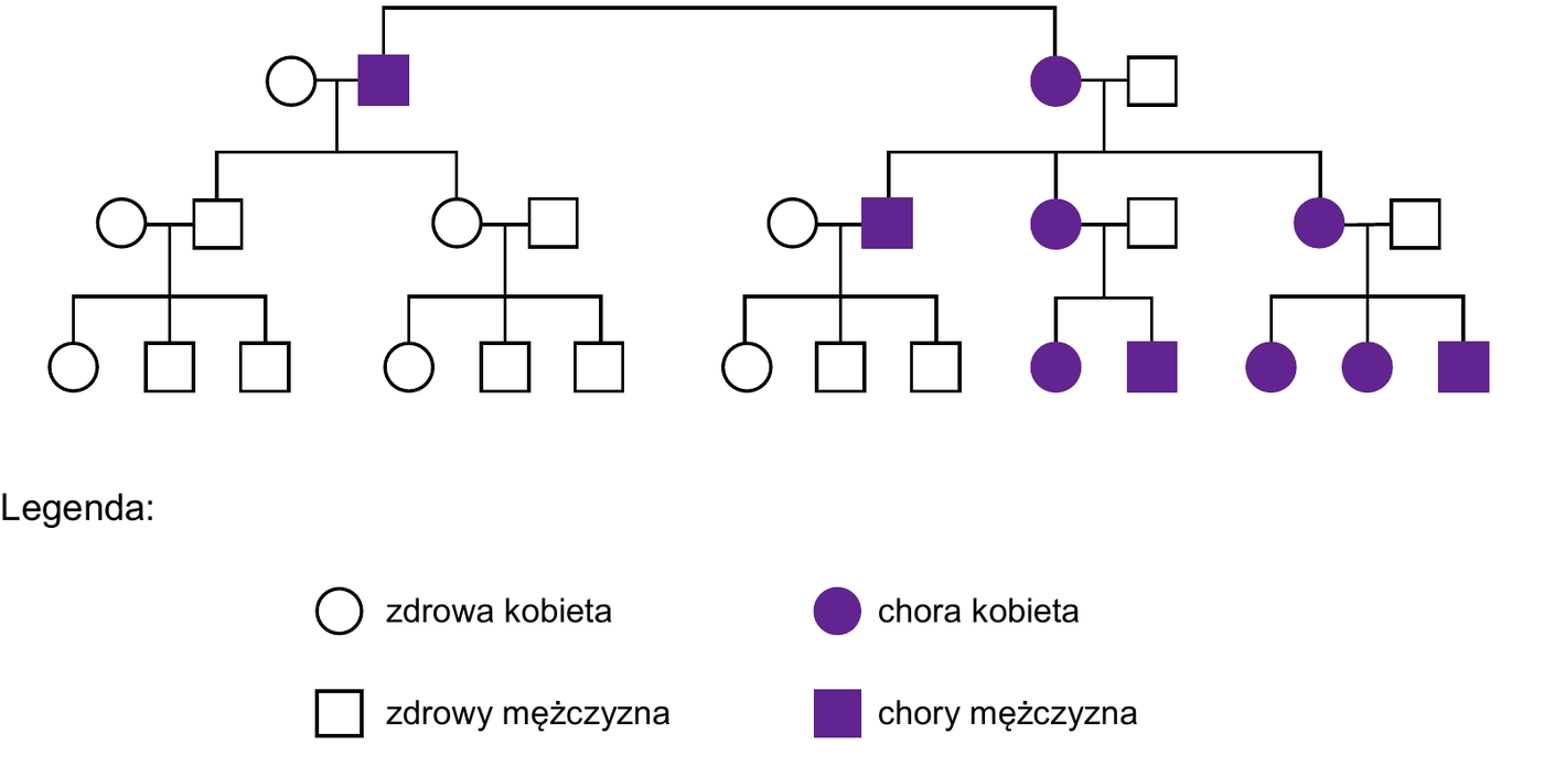 rodowód trzypokoleniowy. W pokoleniu I dwa małżeństwa: chory mężczyzna ze zdrową kobietą (po lewej) oraz chora kobieta ze zdrowym mężczyzną (po prawej). W pokoleniu II po lewej stronie dwie zdrowe córki z ich zdrowymi mężami, a po prawej stronie chory syn ze zdrową żoną oraz dwie chore córki ze zdrowymi mężami. W pokoleniu III potomstwo par z lewej strony rodowodu jest w całości zdrowe, potomstwo chorego mężczyzny jest zdrowe, natomiast wśród potomstwa obu chorych kobiet występują wyłącznie osoby chore - zarówno córki, jak i synowie
