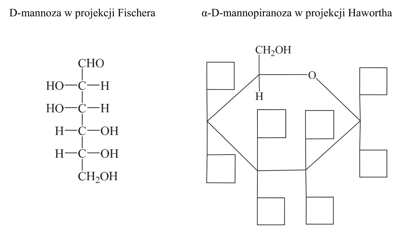 wzór D-mannozy w projekcji Fischera oraz niepełny schemat wzoru taflowego $\alpha$-D-mannopiranozy do uzupełnienia