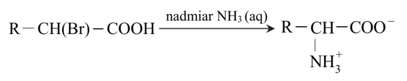 schemat amonolizy: R–CH(Br)–COOH pod wpływem nadmiaru NH3 (aq) przechodzi w R–CH–COO− z grupą NH3+ przy atomie węgla α
