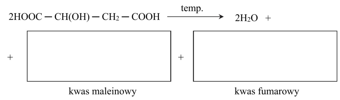 schemat równania do uzupełnienia: 2HOOC–CH(OH)–CH2–COOH, strzałka z napisem temp., 2H2O + oraz dwa puste pola podpisane „kwas maleinowy” i „kwas fumarowy”