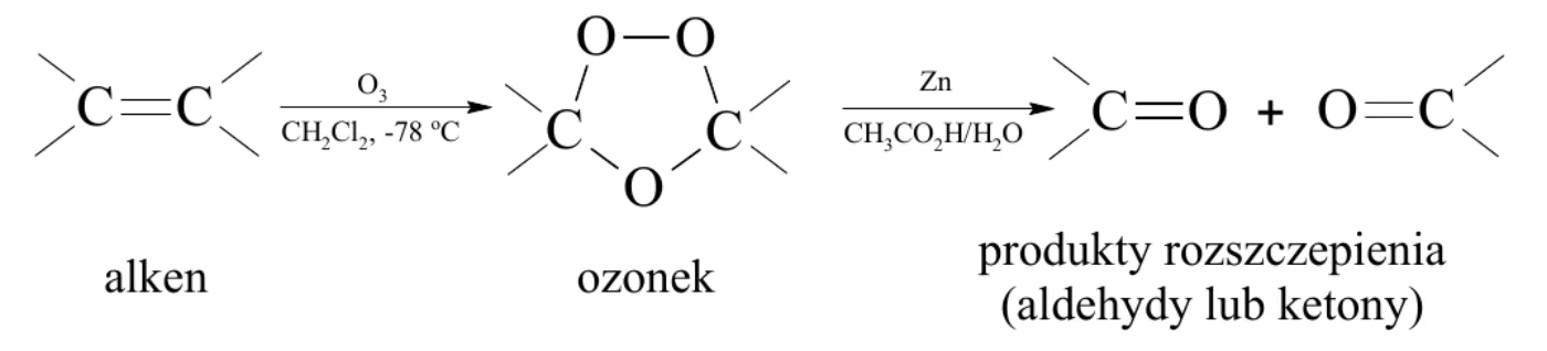 schemat ozonolizy – alken (fragment C=C) w reakcji z O₃ w CH₂Cl₂ w −78 °C tworzy ozonek (pierścień C–O–O–C–O), który w reakcji z Zn w CH₃CO₂H/H₂O daje produkty rozszczepienia (aldehydy lub ketony) z ugrupowaniami C=O