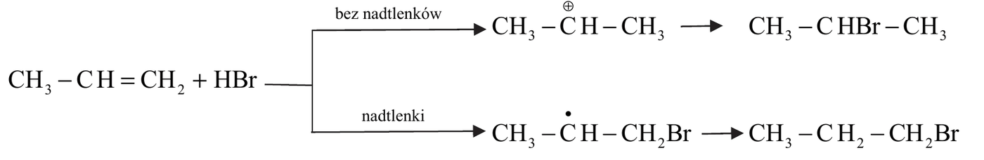 rozgałęziony schemat reakcji CH3-CH=CH2 + HBr - droga "bez nadtlenków" prowadzi przez karbokation CH3-CH(+)-CH3 do CH3-CHBr-CH3, droga "nadtlenki" przez rodnik CH3-CH(.)-CH2Br do CH3-CH2-CH2Br