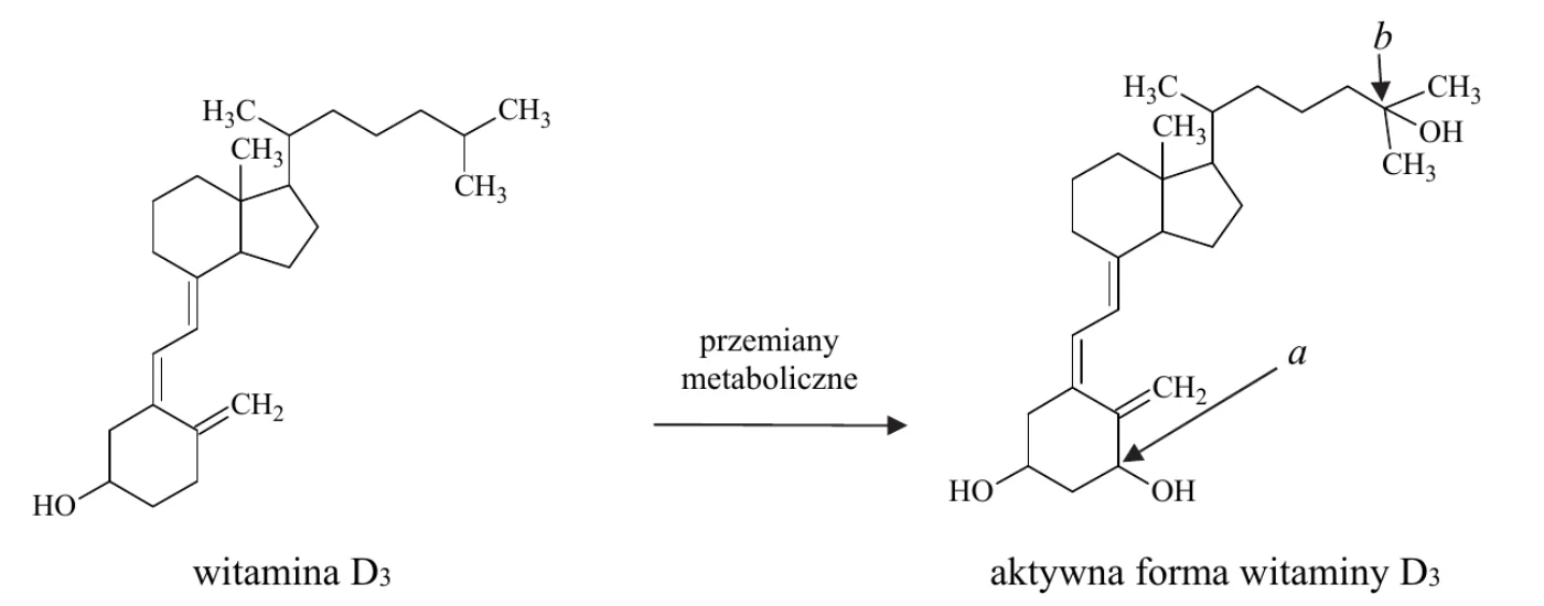 schemat: wzór witaminy D3, strzałka „przemiany metaboliczne”, wzór aktywnej formy witaminy D3; we wzorze aktywnej formy strzałkami oznaczono literą a atom węgla w pierścieniu sześcioczłonowym, a literą b atom węgla na końcu łańcucha bocznego