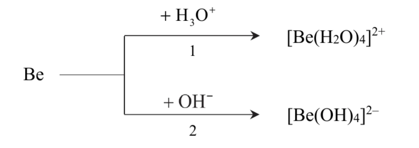 schemat dwóch przemian berylu: strzałka 1 (+ H3O⁺) od Be do Be(H2O)4²⁺ oraz strzałka 2 (+ OH⁻) od Be do Be(OH)4²⁻