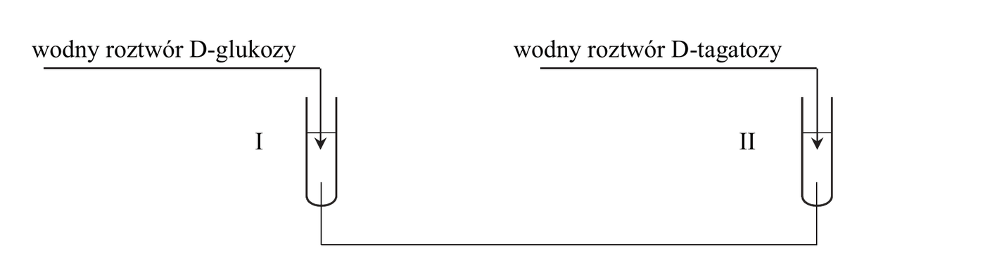 schemat doświadczenia, probówki I i II z wprowadzanymi roztworami D-glukozy i D-tagatozy