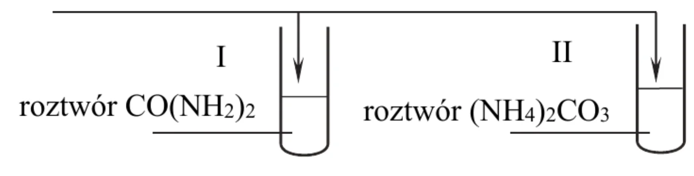 schemat doświadczenia: strzałki od odczynnika do probówki I z roztworem CO(NH₂)₂ i probówki II z roztworem (NH₄)₂CO₃