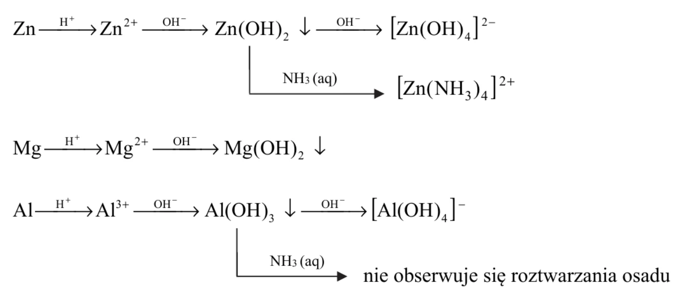 schematy przemian: Zn –(H⁺)→ Zn²⁺ –(OH⁻)→ Zn(OH)₂↓ –(OH⁻)→ [Zn(OH)₄]²⁻, a od Zn(OH)₂↓ odgałęzienie –(NH₃ (aq))→ [Zn(NH₃)₄]²⁺; Mg –(H⁺)→ Mg²⁺ –(OH⁻)→ Mg(OH)₂↓; Al –(H⁺)→ Al³⁺ –(OH⁻)→ Al(OH)₃↓ –(OH⁻)→ [Al(OH)₄]⁻, a od Al(OH)₃↓ odgałęzienie –(NH₃ (aq))→ „nie obserwuje się roztwarzania osadu”