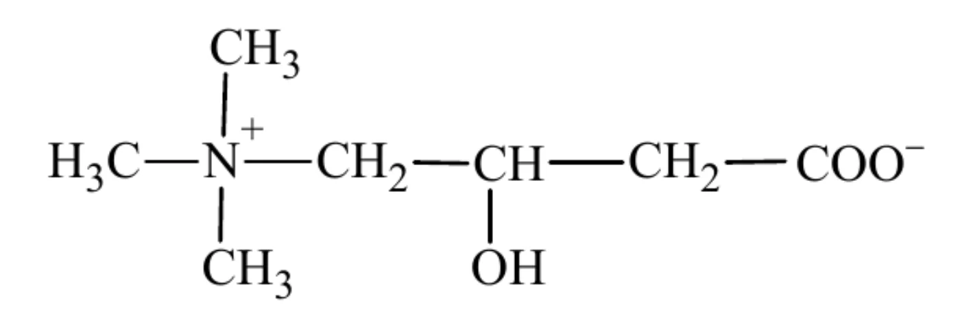 wzór półstrukturalny karnityny: (CH3)3N⁺–CH2–CH(OH)–CH2–COO⁻, trzy grupy CH3 przy atomie azotu rozpisane