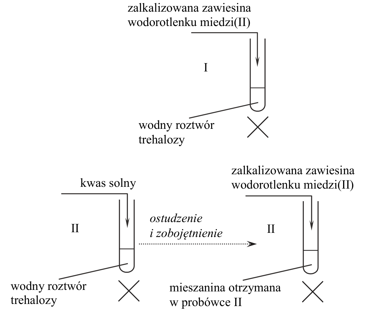 schematy doświadczenia: probówka I z wodnym roztworem trehalozy i zalkalizowaną zawiesiną $\ce{Cu(OH)2}$ oraz probówka II z wodnym roztworem trehalozy i kwasem solnym, a po ostudzeniu i zobojętnieniu z zalkalizowaną zawiesiną $\ce{Cu(OH)2}$
