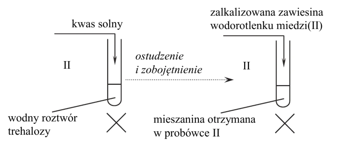 schemat: do probówki II z wodnym roztworem trehalozy wprowadzany jest kwas solny (ogrzewanie), strzałka „ostudzenie i zobojętnienie”, następnie do mieszaniny otrzymanej w probówce II wprowadzana jest zalkalizowana zawiesina wodorotlenku miedzi(II) (ogrzewanie)