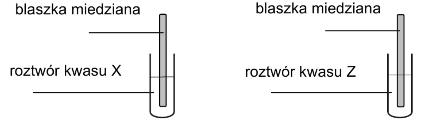 rysunek dwóch probówek z zanurzonymi blaszkami miedzianymi: w jednej roztwór kwasu X, w drugiej roztwór kwasu Z