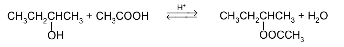 równanie reakcji: CH3CH2CH(OH)CH3 + CH3COOH ⇄ (katalizator H⁺) CH3CH2CH(OOCCH3)CH3 + H2O, grupy OH i OOCCH3 narysowane pod łańcuchem