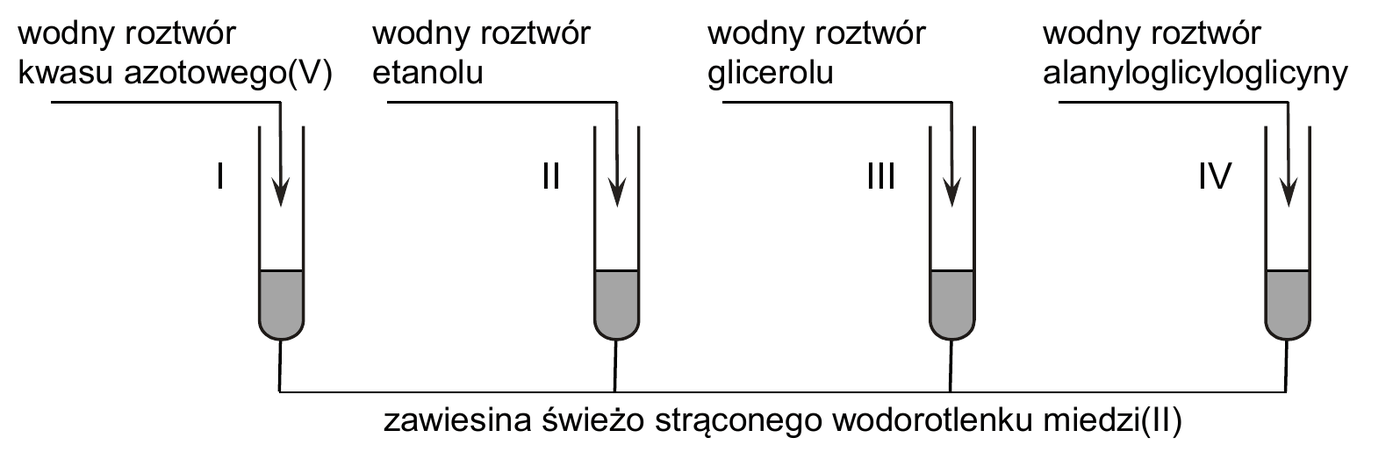 rysunek czterech probówek I-IV z zawiesiną świeżo strąconego wodorotlenku miedzi(II), do których dodawane są kolejno wodne roztwory kwasu azotowego(V), etanolu, glicerolu i alanyloglicyloglicyny