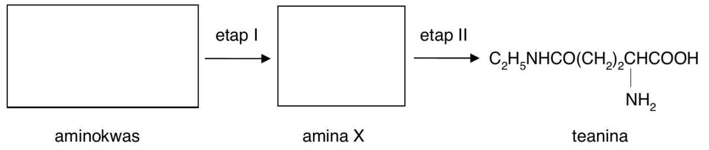 schemat syntezy: pusta ramka „aminokwas” → etap I → pusta ramka „amina X” → etap II → teanina o wzorze C₂H₅NHCO(CH₂)₂CH(NH₂)COOH
