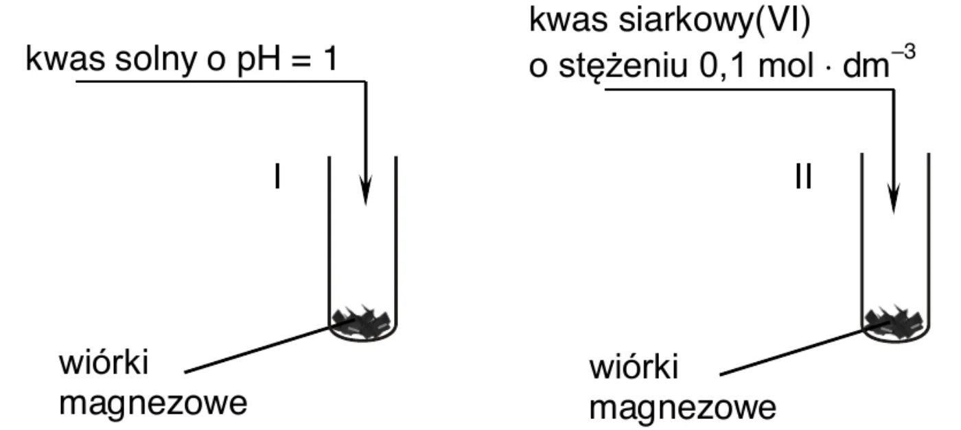 schemat doświadczenia: do probówki I z wiórkami magnezowymi dodawany jest kwas solny o pH = 1, do probówki II z wiórkami magnezowymi – kwas siarkowy(VI) o stężeniu 0,1 mol · dm⁻³