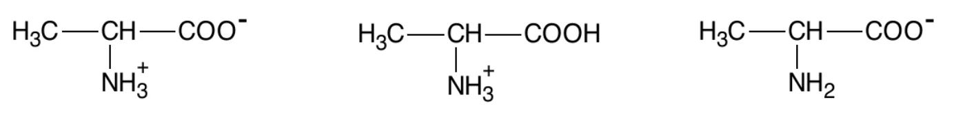 trzy wzory półstrukturalne form alaniny (od lewej): H3C–CH(NH3+)–COO−, H3C–CH(NH3+)–COOH, H3C–CH(NH2)–COO−