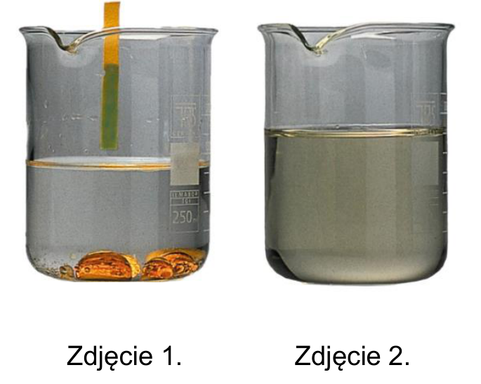 zdjęcie 1. i zdjęcie 2.