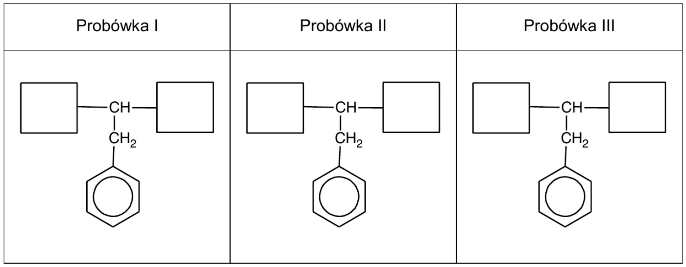 tabela z kolumnami Probówka I, Probówka II i Probówka III; w każdej szkielet CH połączony z CH2 i pierścieniem benzenowym oraz dwie puste kratki po obu stronach atomu węgla CH