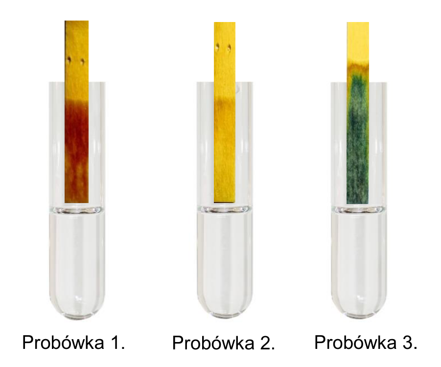 Materiał graficzny do zadania z arkusza CKE