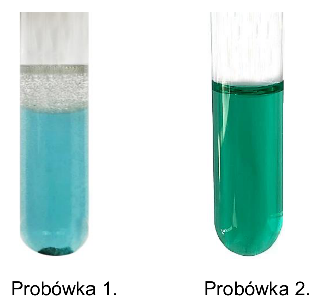Materiał graficzny do zadania z arkusza CKE