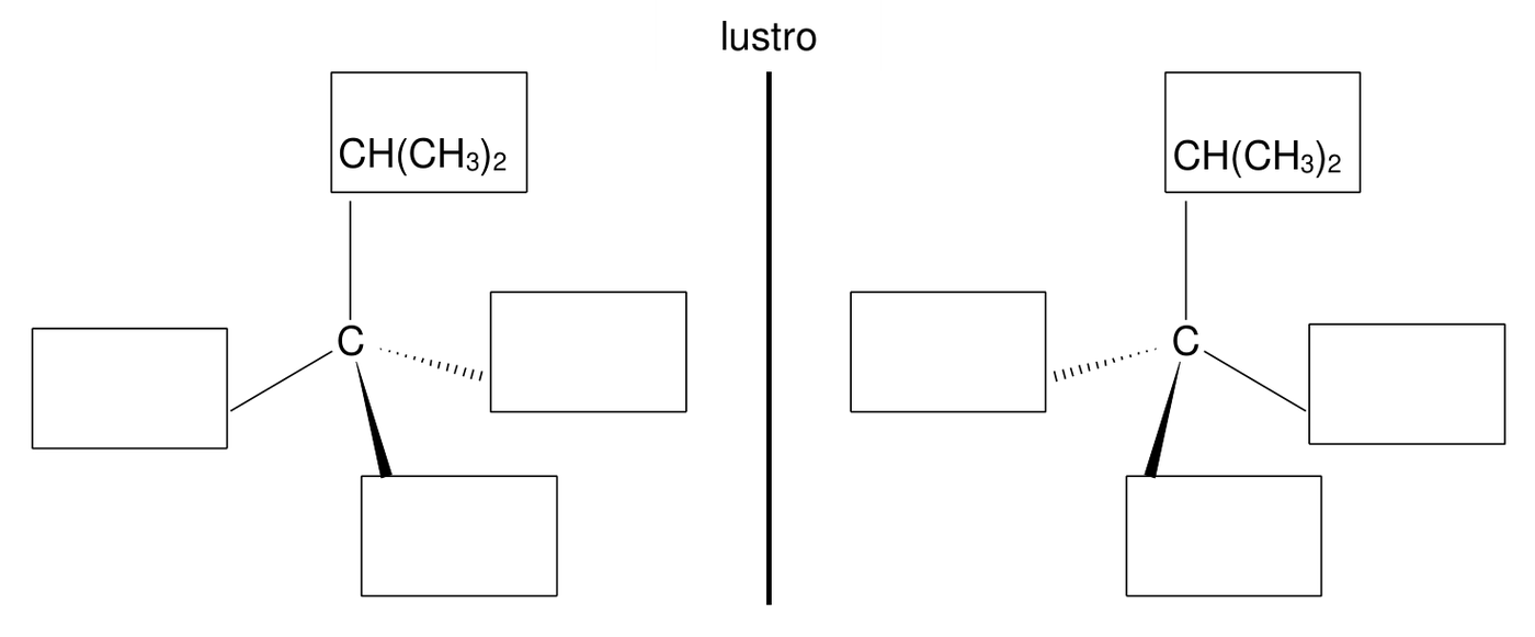 schemat z pionową linią podpisaną "lustro"; po obu jej stronach narysowano centralny atom węgla z dopisaną u góry grupą $\ce{CH(CH3)2}$, a pozostałe podstawniki należy uzupełnić