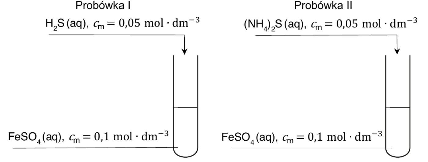 probówka I – do FeSO₄ (aq), cₘ = 0,1 mol·dm⁻³ dodawany H₂S (aq), cₘ = 0,05 mol·dm⁻³; probówka II – do FeSO₄ (aq), cₘ = 0,1 mol·dm⁻³ dodawany (NH₄)₂S (aq), cₘ = 0,05 mol·dm⁻³