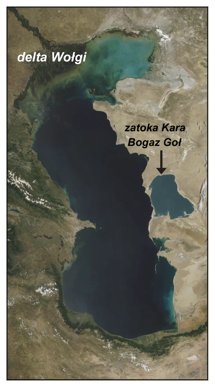 Materiał graficzny do zadania