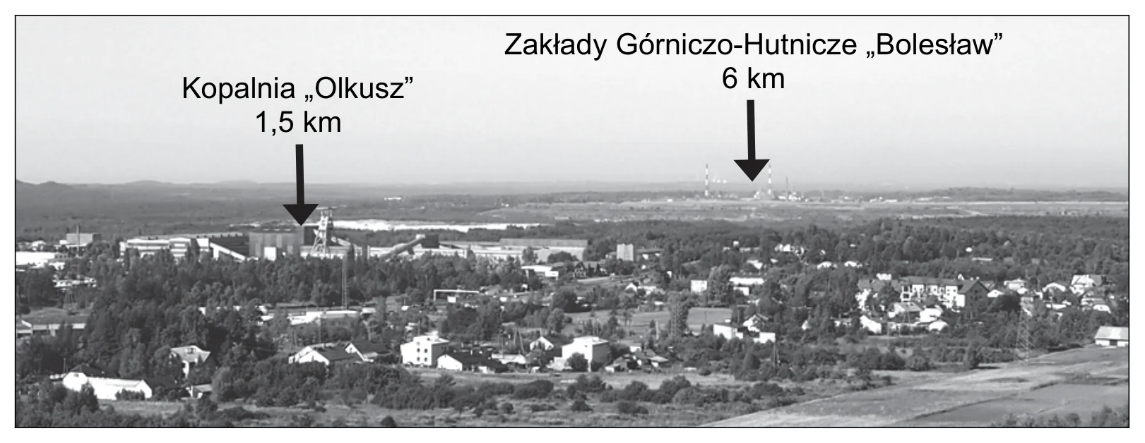 Materiał graficzny do zadania