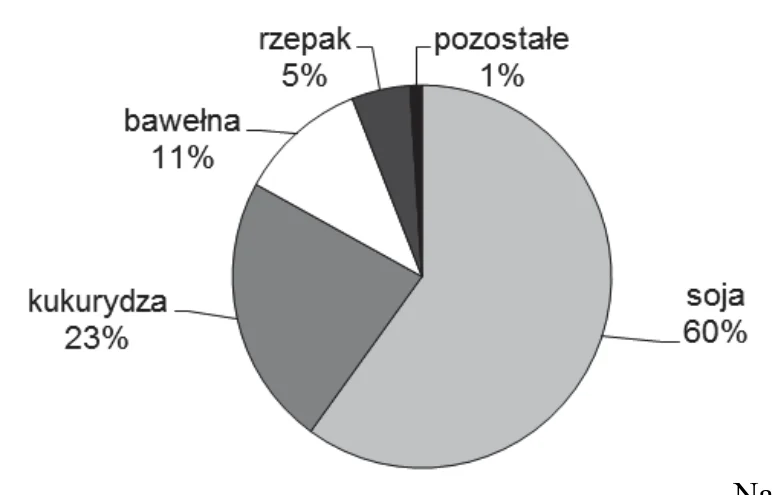 Materiał graficzny do zadania