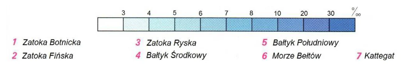 Materiał graficzny do zadania