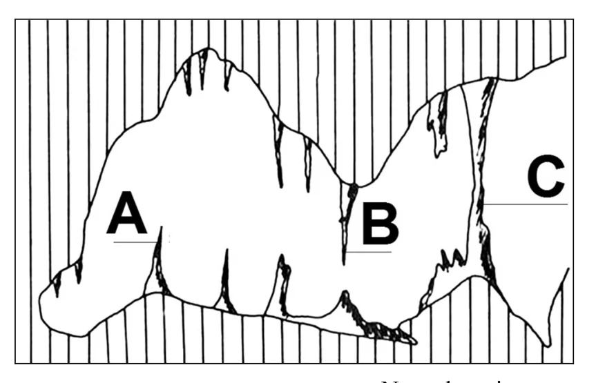 Materiał graficzny do zadania