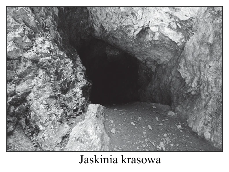 Materiał graficzny do zadania