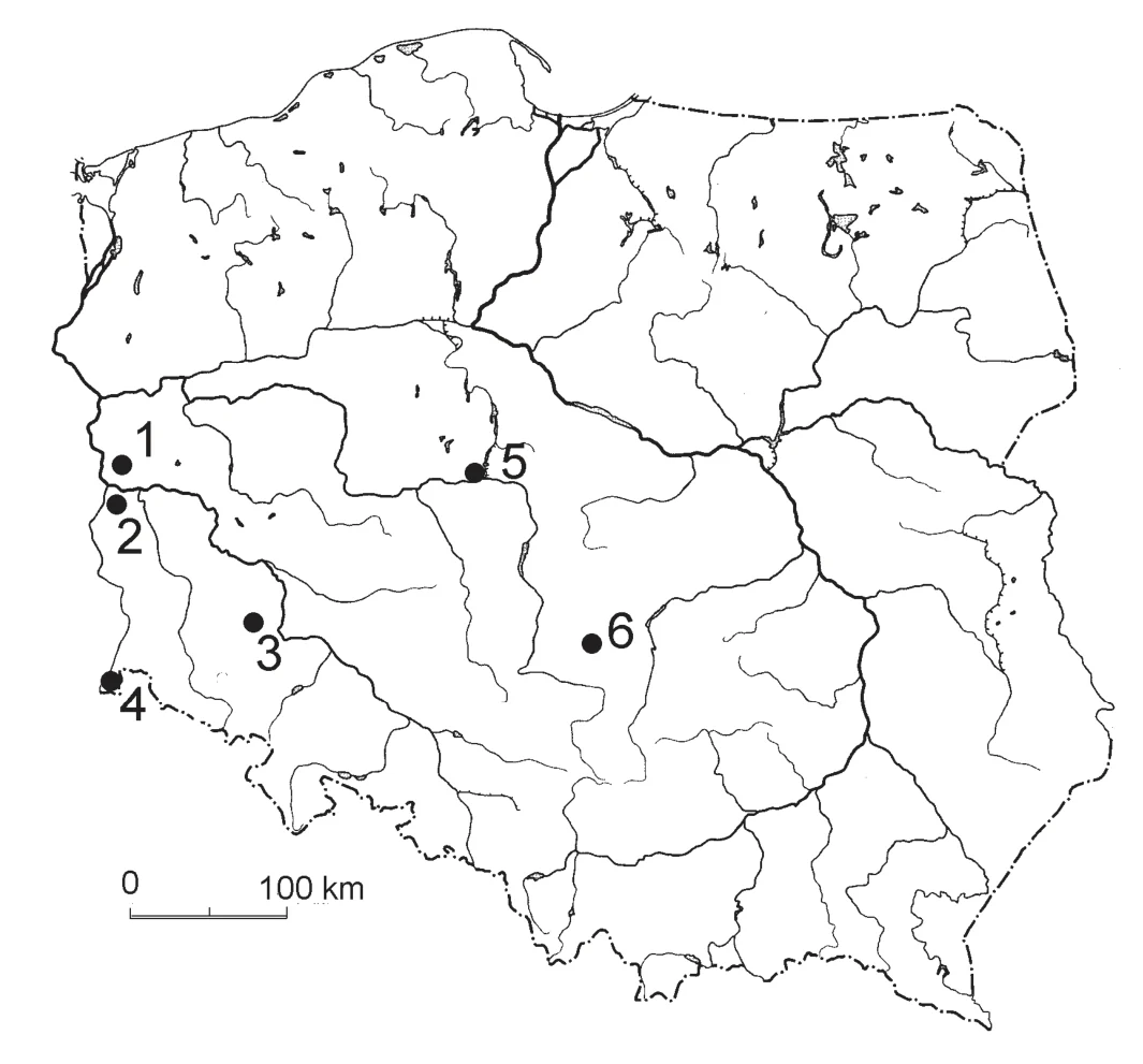 Materiał graficzny do zadania