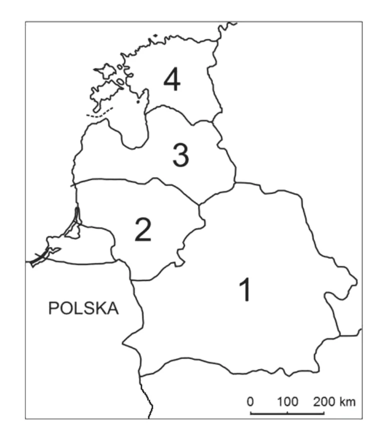 Materiał graficzny do zadania