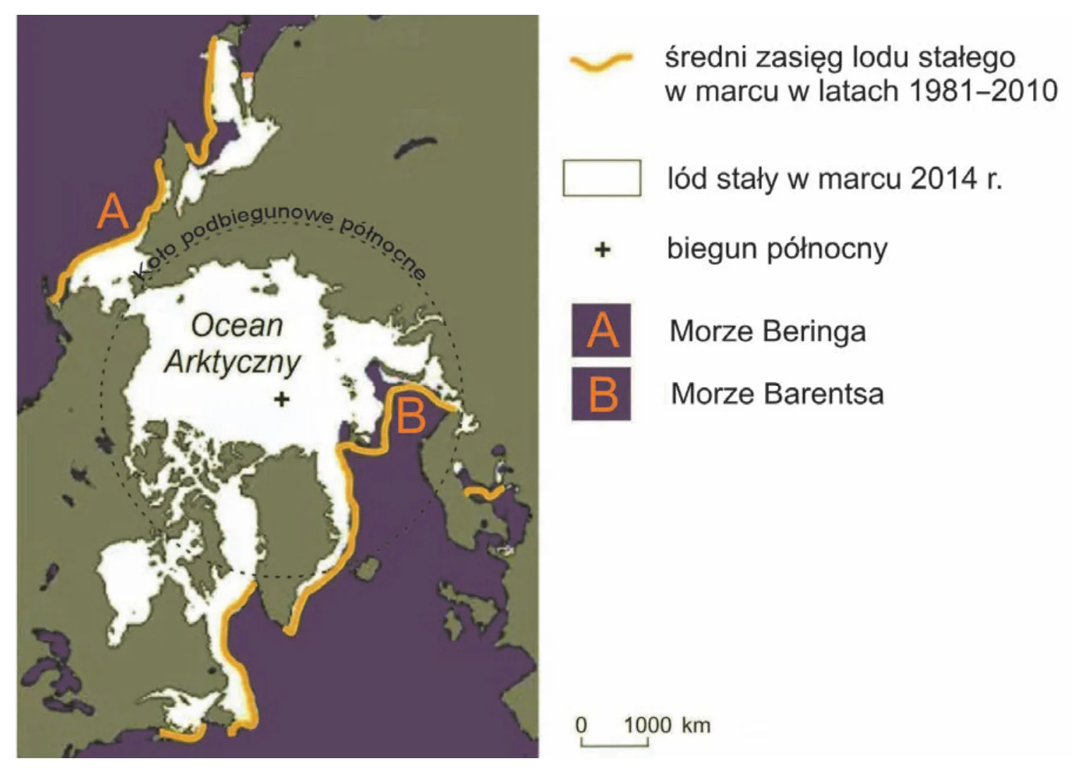 Materiał graficzny do zadania