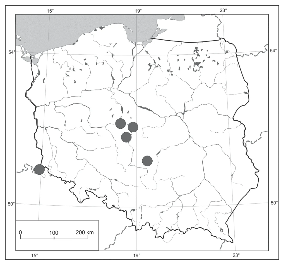 Materiał graficzny do zadania