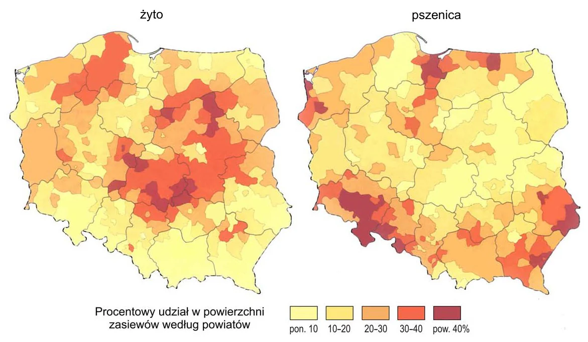 Materiał graficzny do zadania