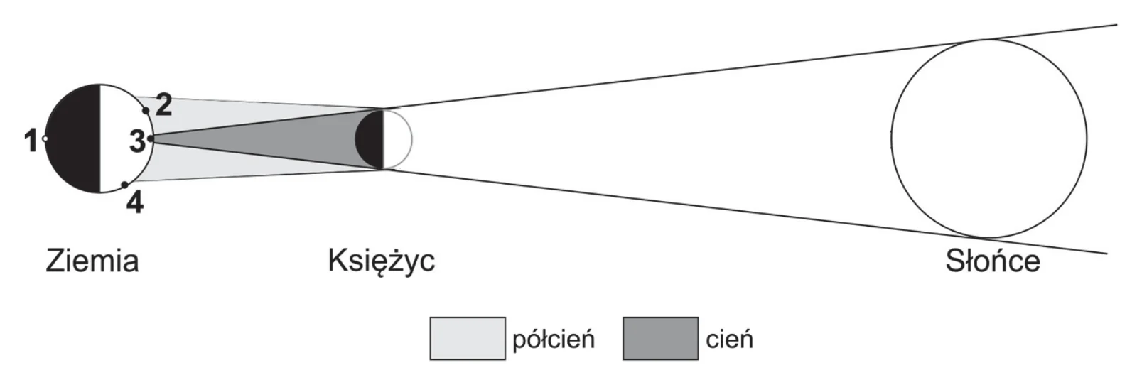 Materiał graficzny do zadania
