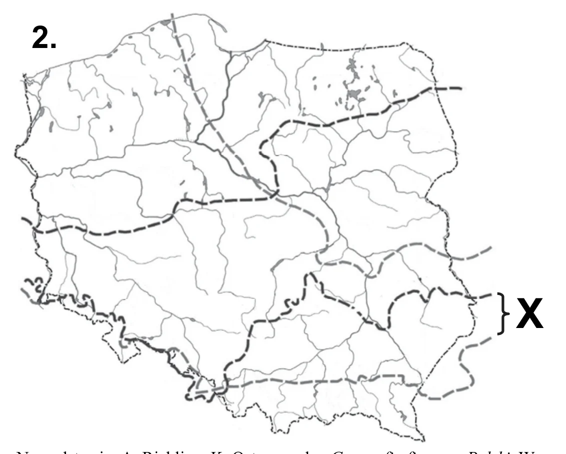 Materiał graficzny do zadania