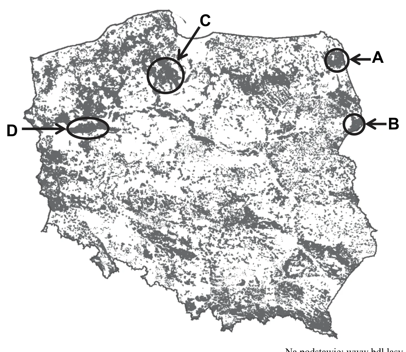Materiał graficzny do zadania