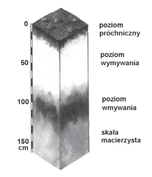 Materiał graficzny do zadania