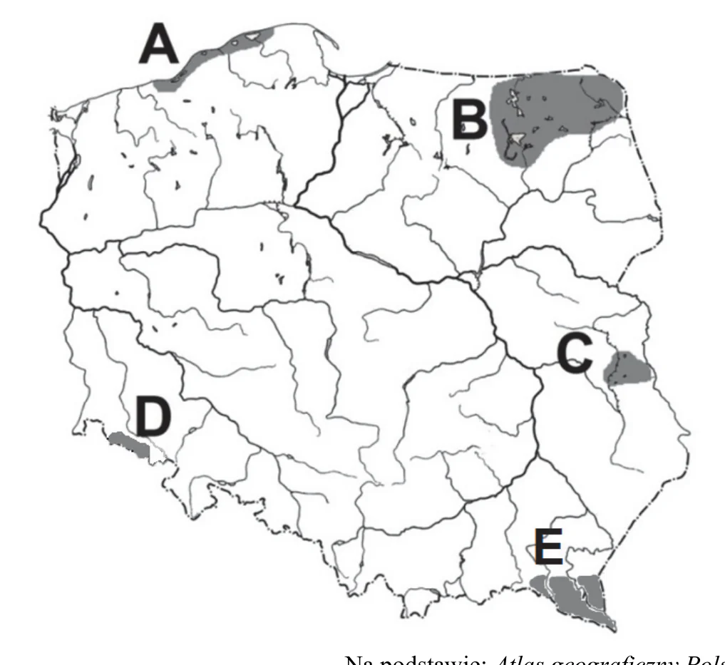 Materiał graficzny do zadania